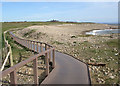SS7979 : Wales Coast Path boardwalk above Pink Bay (2) by eswales