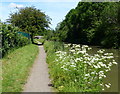 Towpath along the Oxford Canal