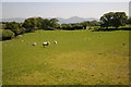 Farmland near Ty