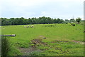 Farmland at Hoddom Mains