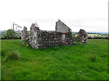 H3062 : Ruined cottage, Corlaghdergan by Kenneth  Allen