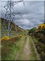 Hill track to the south of Auchterhouse Hill