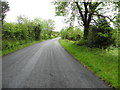 Old Monaghan Road, Ballywholan