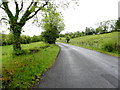 Old Monaghan Road, Ballywholan