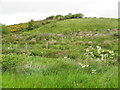 Corloghy Townland