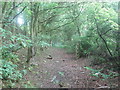 Footpath beside the A671 near Barrow Gardens