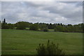 Floodplain of the River Thames