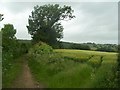 Bridleway near Barnby Hall