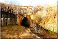 Ravenscraig tunnel