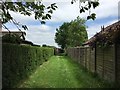 SJ8148 : Alsagers Bank: footpath between houses by Jonathan Hutchins