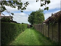 SJ8148 : Alsagers Bank: footpath between houses by Jonathan Hutchins
