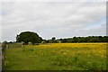 SJ8148 : Alsagers Bank: field north of High Lane by Jonathan Hutchins