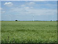 TL2262 : Crop field and wind turbines by JThomas