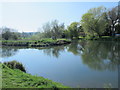 Confluence of the River Beane and the River Lea Navigation