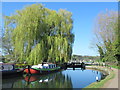 The River Lea Navigation above Hertford Lock