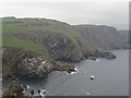NT9069 : Looking west across the cliffs at St Abbs Head by Graham Robson