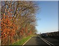 A40 at Allt Llwyncelyn