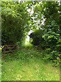 TM1280 : Field entrance off Walcot Road by Geographer