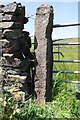 Benchmark on gatepost near Carleton Lane Head