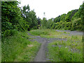 Leamside Line at Penshaw