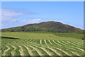 View towards Knockdolian