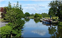 SU4996 : The River Thames in Abingdon-on-Thames by Mat Fascione