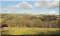 Usk valley east of Sennybridge