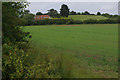 Farmland near Althorne