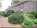TQ3383 : Late Elizabethan  garden, Geffrye Museum period garden rooms by David Hawgood