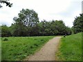 Field near Clough Gate