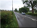 Kingsley Road (A52)