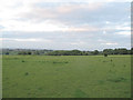 Grazing land at Wyre Hall Farm