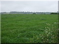 Farmland off Bate Lane