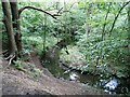 Kempnough Brook - Worsley Woods