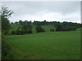 Farmland north of Ashbourne Road (B5032)