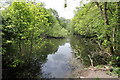 Wetland near Little Budworth