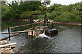 Great Fish Pond, Redbourne Hall