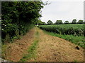 Track north from Oxford Road, Woodstock