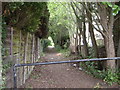 Path between Marlborough Road and Langham Road