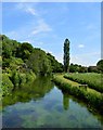 River Test, Wherwell, Hampshire