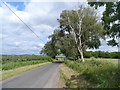 Lane near to Gaylors Farm