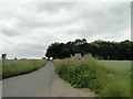 Rede Lane with Rede Wood on the right