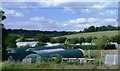 Polytunnels at Berkhamsted