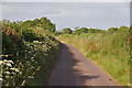 SS9000 : Mid Devon : Rivenford Lane by Lewis Clarke