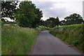 SX9199 : East Devon : Country Lane by Lewis Clarke