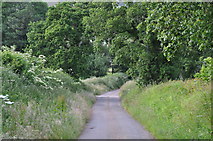 SS9101 : Mid Devon : Country Lane by Lewis Clarke