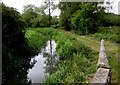 River and path in Woodstock Watermeadows