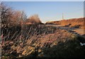 Winter sun near Coombe Farm