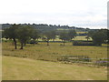 Fields by Edgwarebury Lane