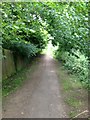 Entering the green space in Kibworth